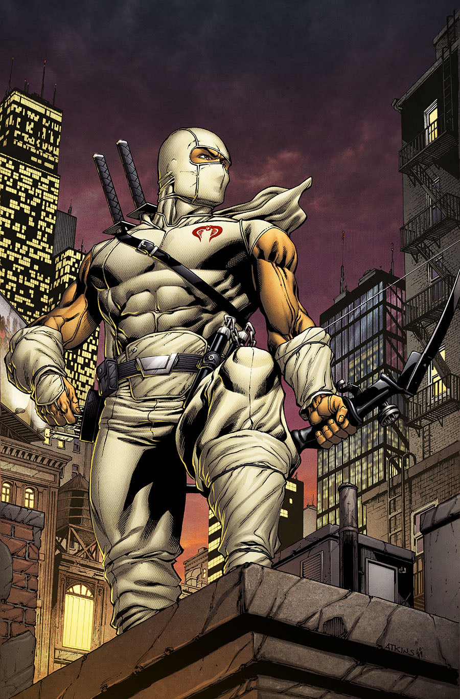 Storm Shadow Print