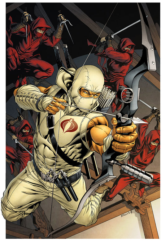 Storm Shadow Print
